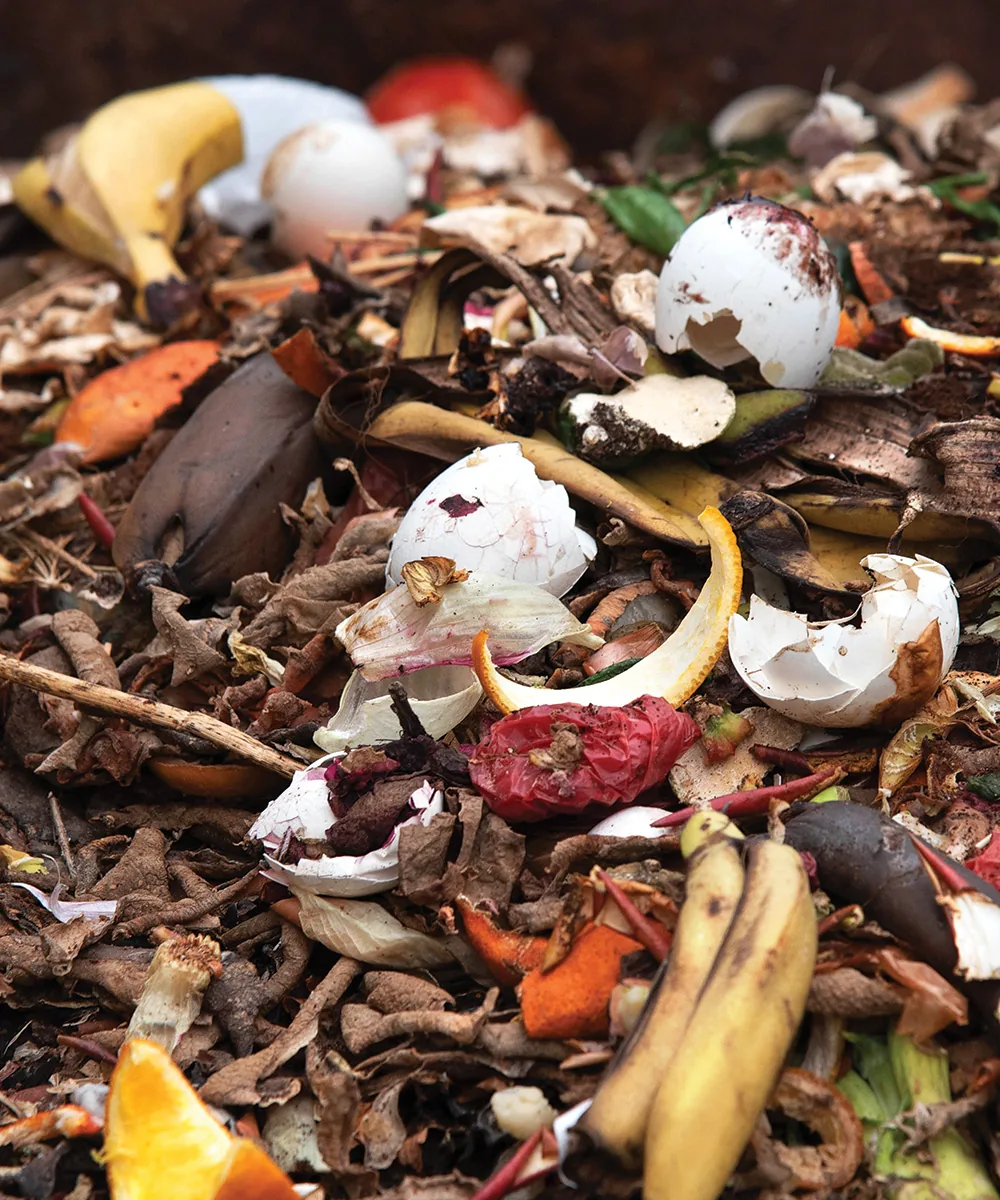 Food scraps ready to be composted